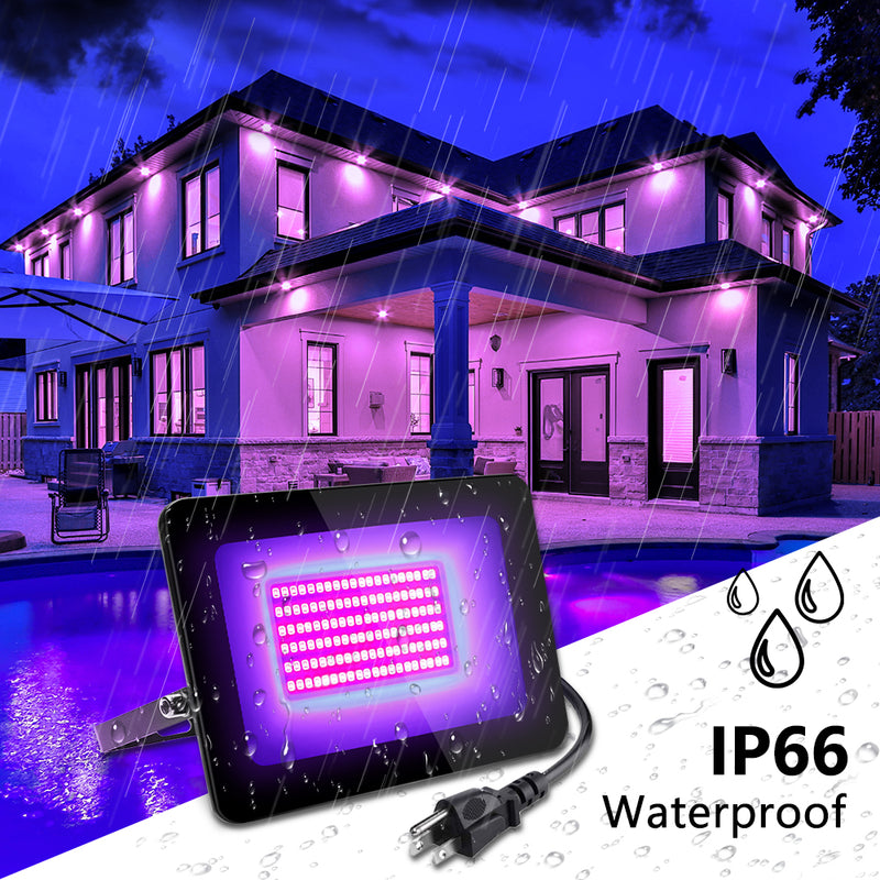 30W UV LED Flood Light, IP66 Rated,with UL Plug for Dance Party， for Blacklight Party, Stage Lighting, Aquarium, Body Paint, Fluorescent Poster（ 2 Pack）